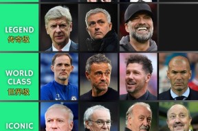 jiuyou-足总杯转会期再迎强敌，波尔图战术微调，主帅态度：引发热议，训练强度明显提升的简单介绍-jiuyou